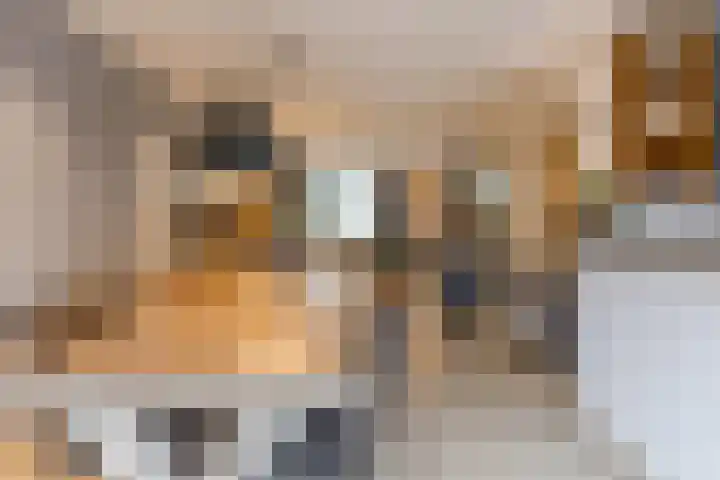 de Leemput 25 Halsteren thumbnail 18