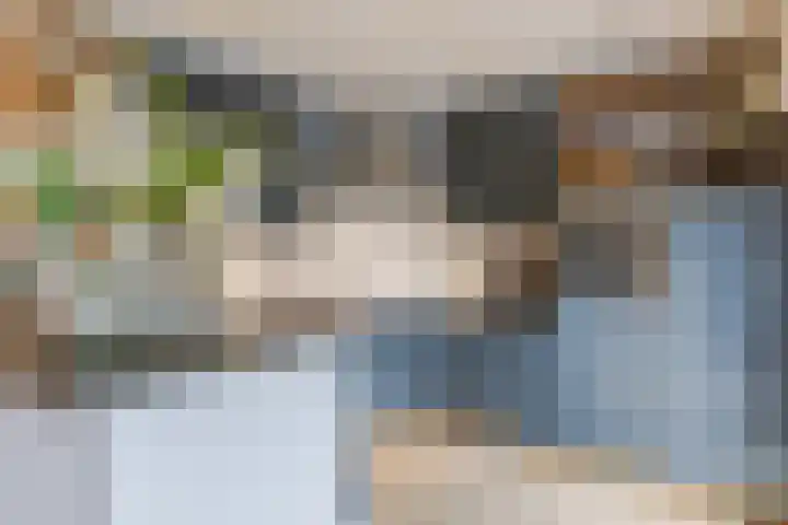 de Leemput 25 Halsteren thumbnail 19