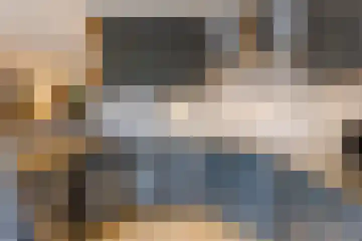 de Leemput 25 Halsteren thumbnail 21
