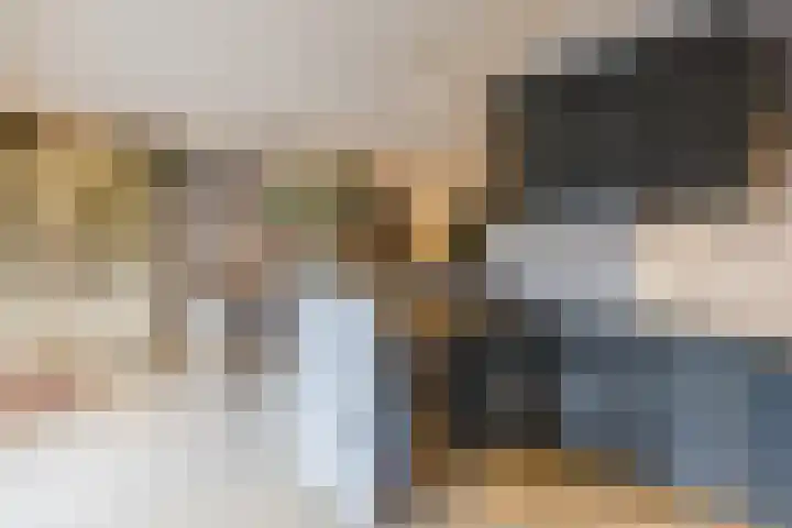 de Leemput 25 Halsteren thumbnail 22