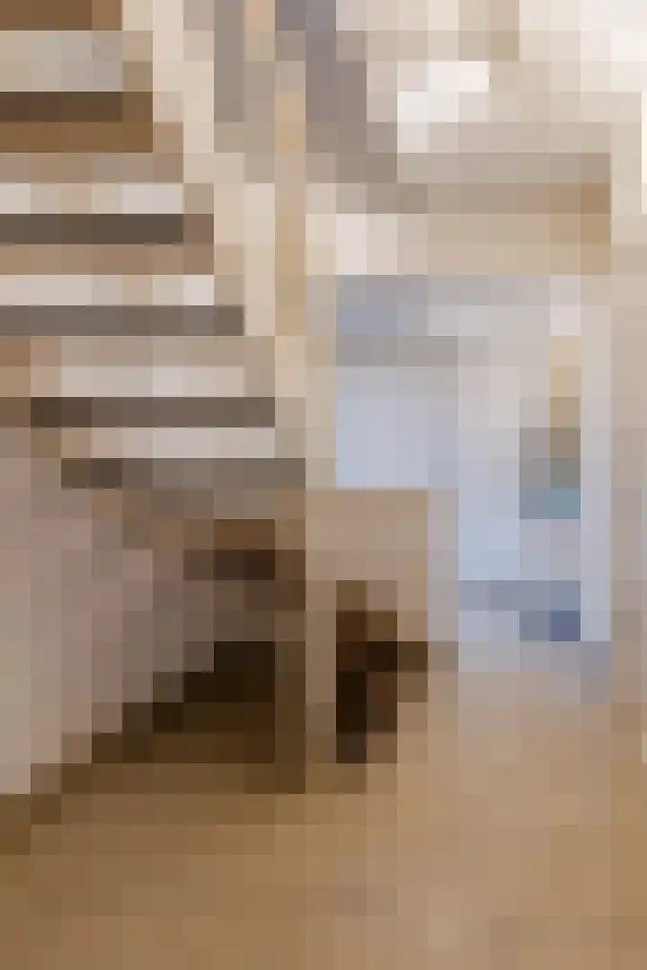 de Leemput 25 Halsteren thumbnail 25