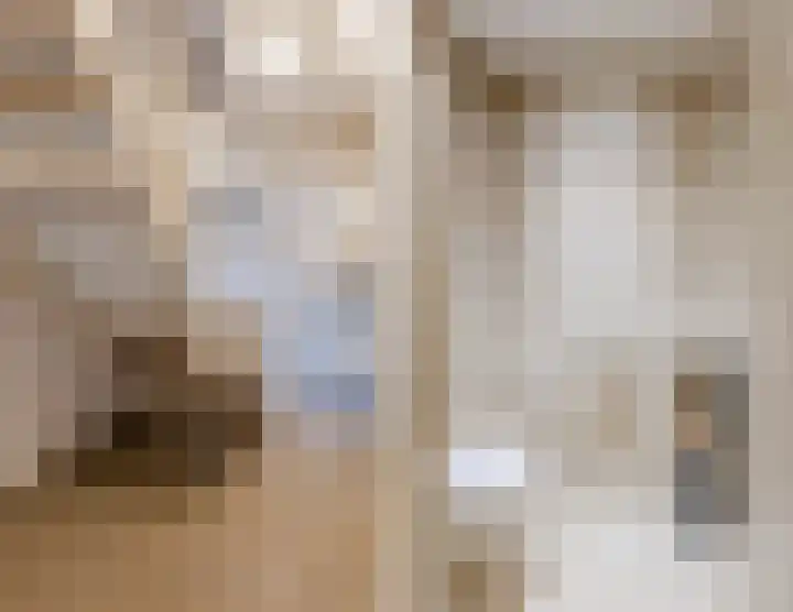 de Leemput 25 Halsteren thumbnail 27