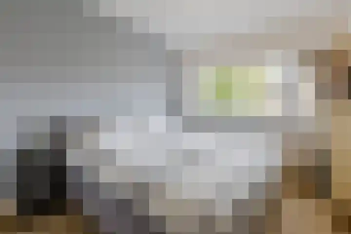 de Leemput 25 Halsteren thumbnail 28