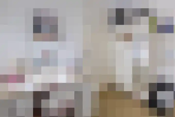 de Leemput 25 Halsteren thumbnail 37