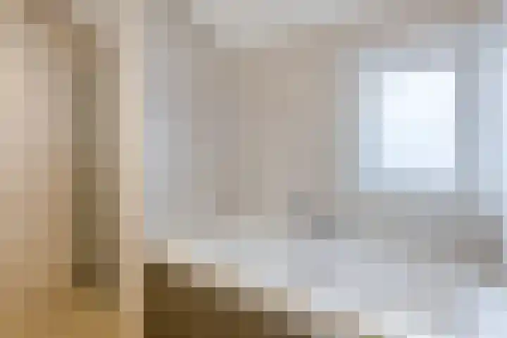 de Leemput 25 Halsteren thumbnail 38