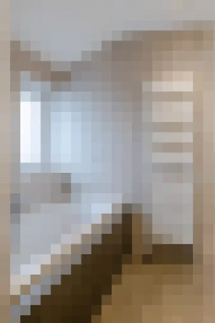 de Leemput 25 Halsteren thumbnail 39