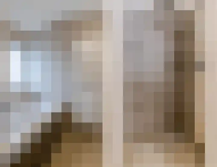 de Leemput 25 Halsteren thumbnail 41