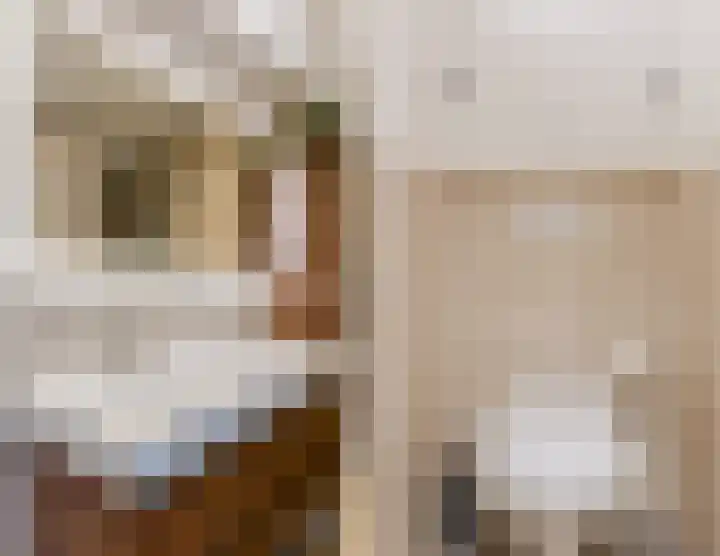 de Leemput 25 Halsteren thumbnail 44