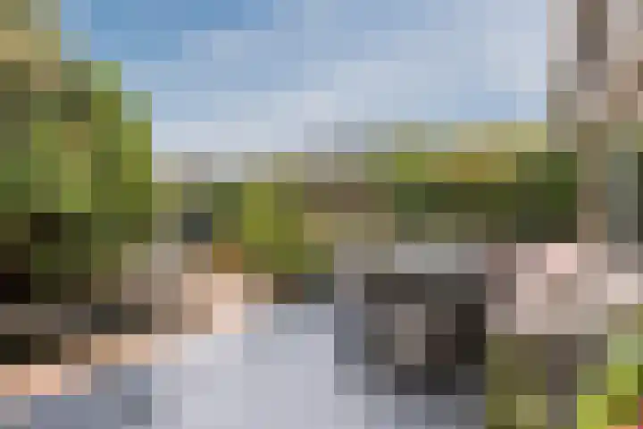 de Leemput 25 Halsteren thumbnail 48