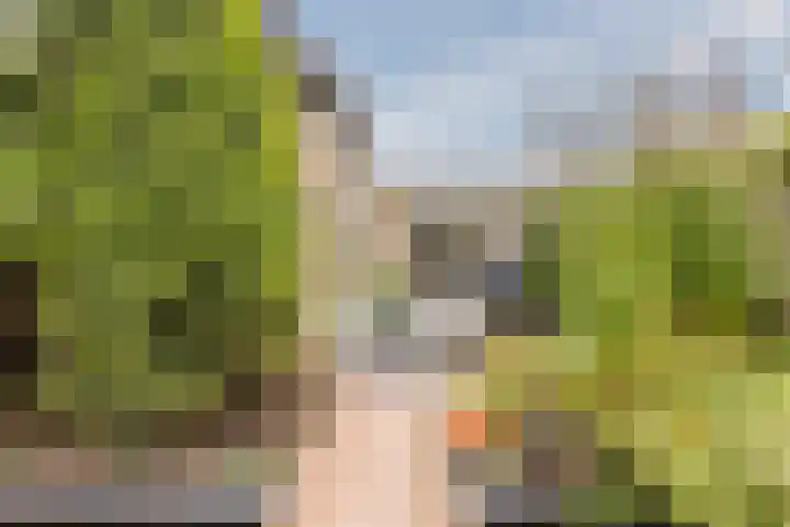 de Leemput 25 Halsteren thumbnail 51