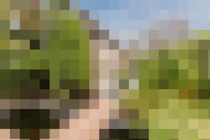 de Leemput 25 Halsteren thumbnail 52