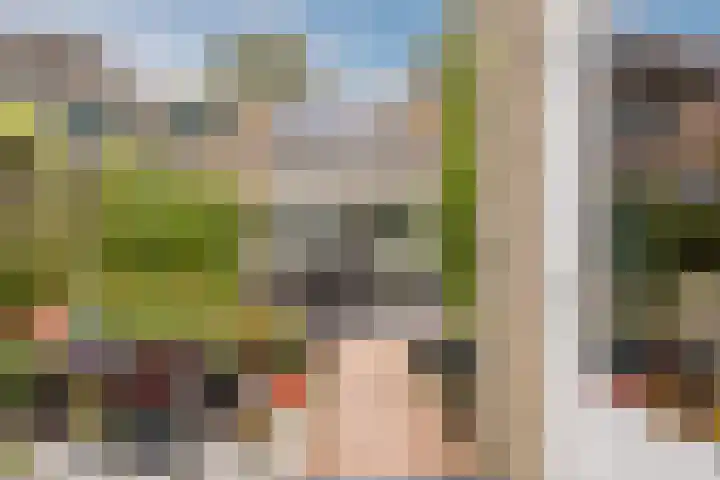 de Leemput 25 Halsteren thumbnail 54