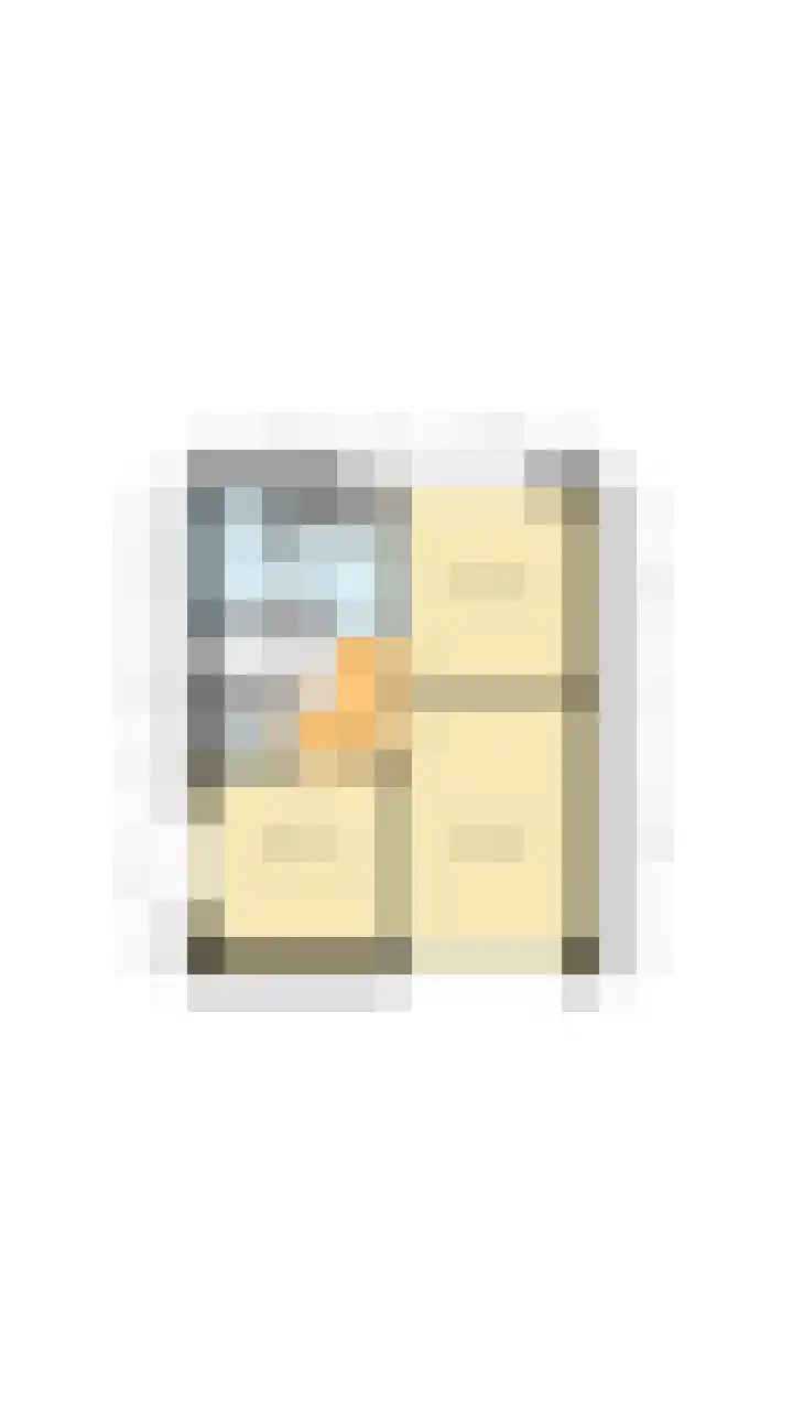 de Leemput 25 Halsteren thumbnail 56