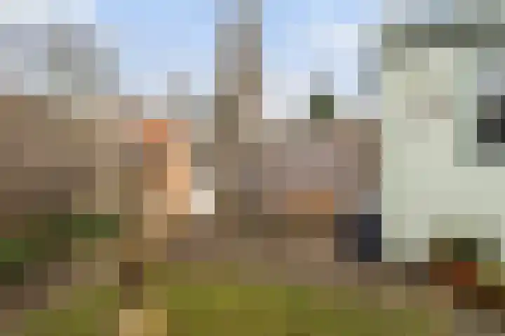De Leeuw 61 Harlingen thumbnail 21