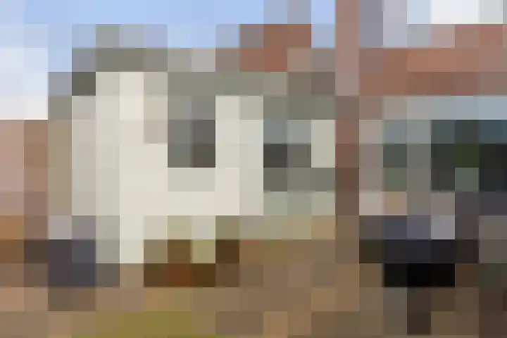 De Leeuw 61 Harlingen thumbnail 25