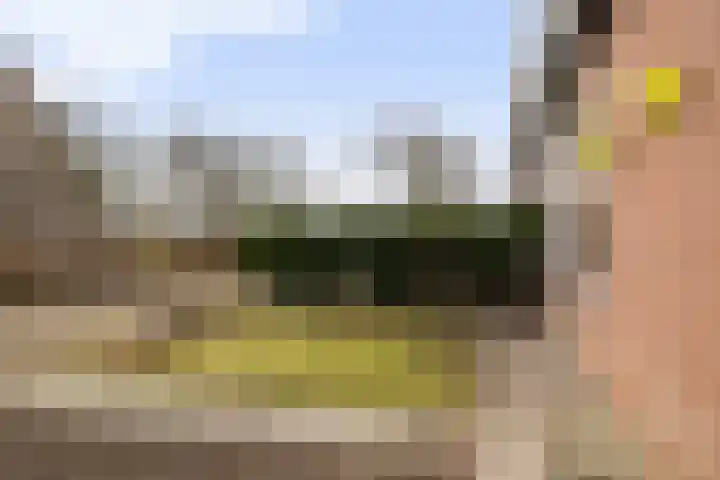 De Leeuw 61 Harlingen thumbnail 4