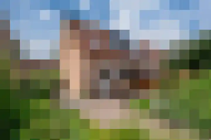 De Leigraaf 67 Westervoort thumbnail 23