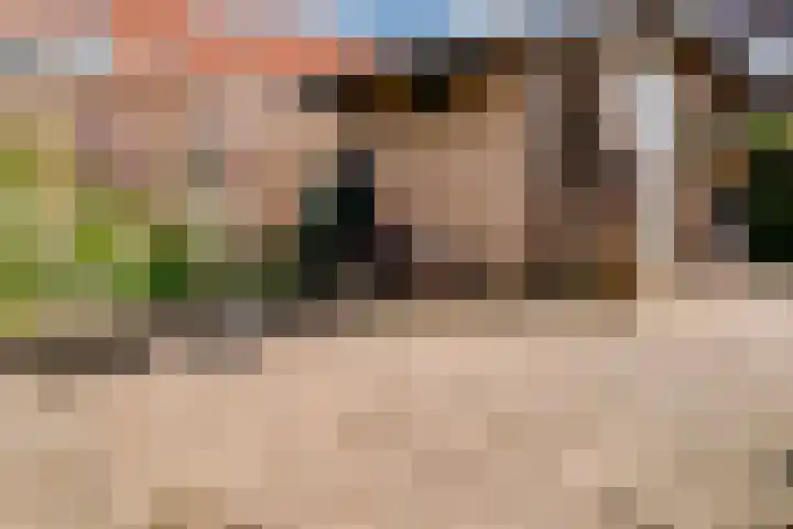 De Leigraaf 67 Westervoort thumbnail 31