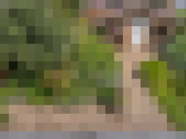 De Leigraaf 67 Westervoort thumbnail 33