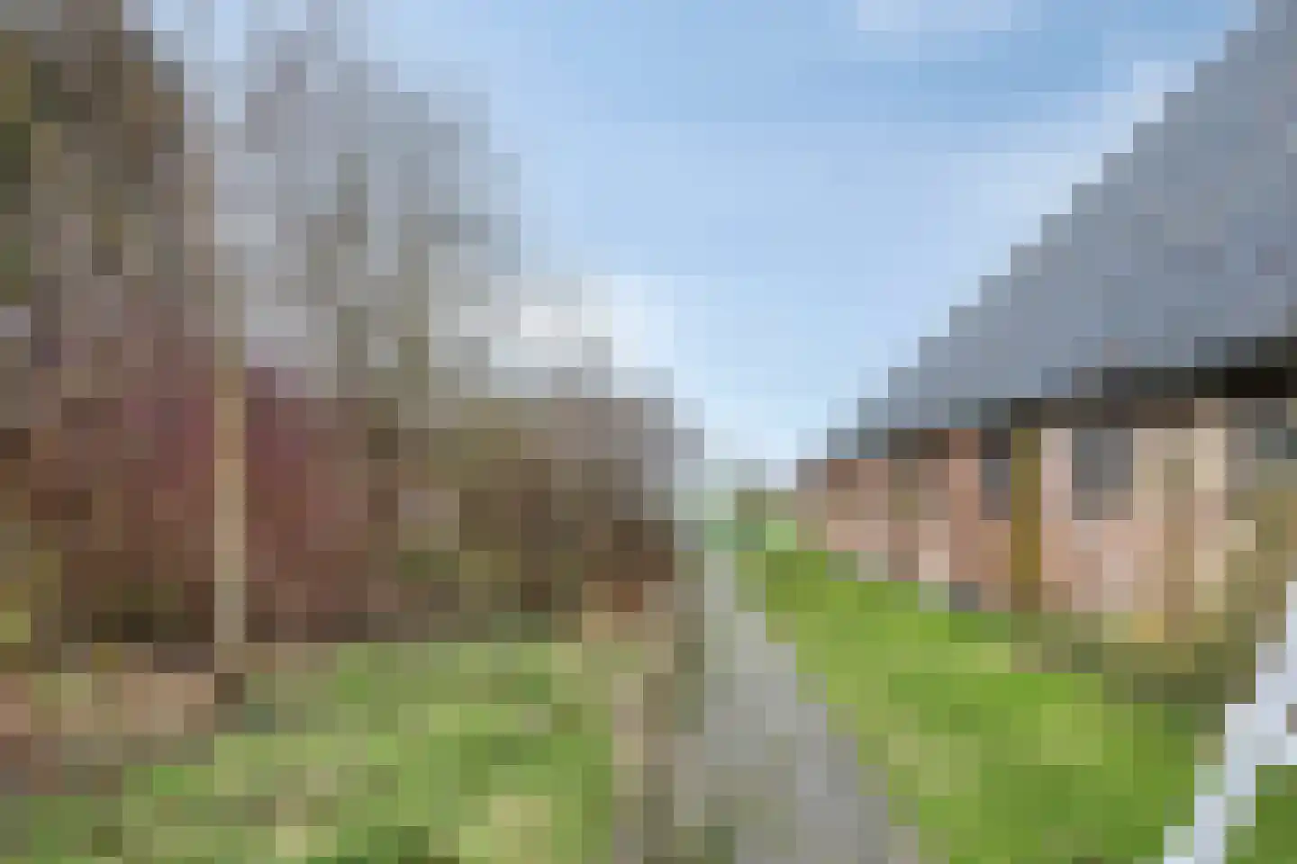 De Leijen 34 Gorredijk thumbnail 67