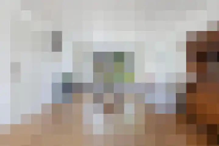 De Leijen 9 Drachten thumbnail 10