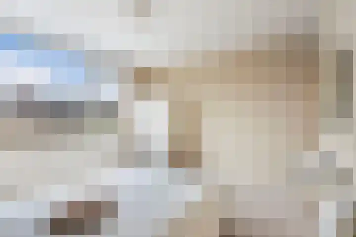 De Leijen 9 Drachten thumbnail 25