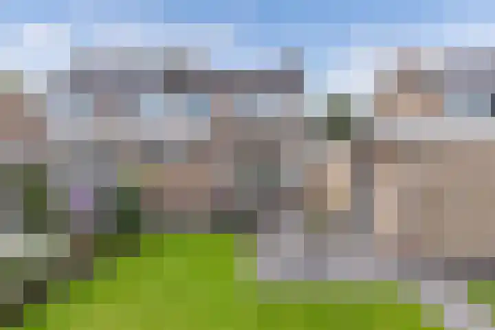 De Leijen 9 Drachten thumbnail 39
