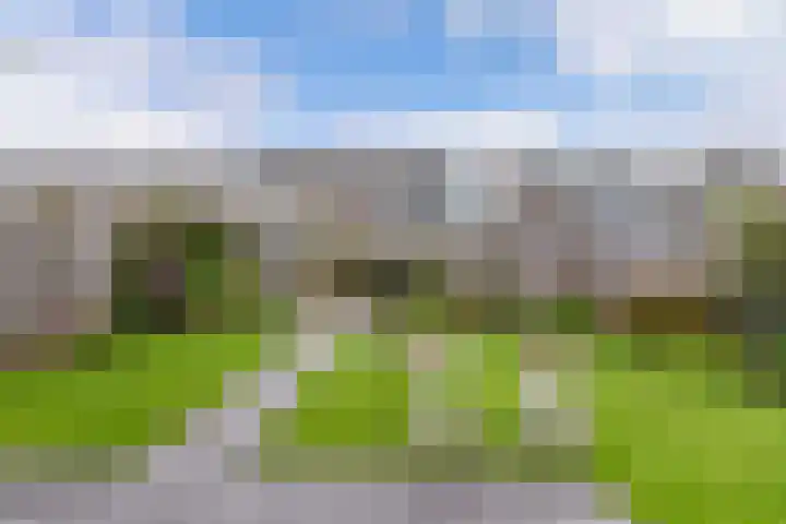 De Leijen 9 Drachten thumbnail 40