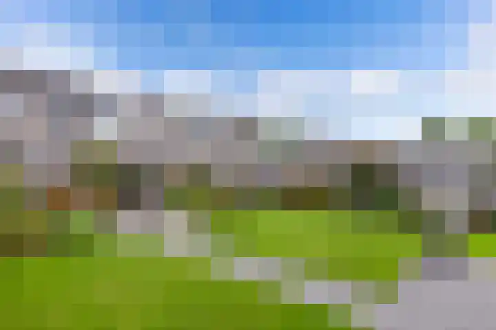De Leijen 9 Drachten thumbnail 41