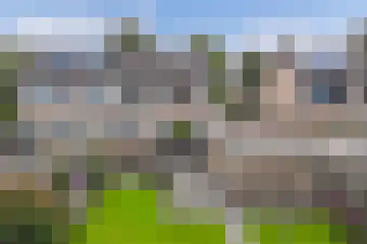 De Leijen 9 Drachten thumbnail 43