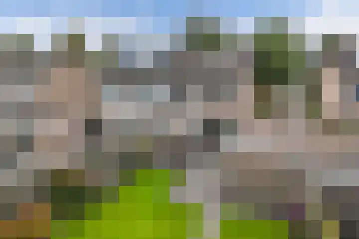 De Leijen 9 Drachten thumbnail 44