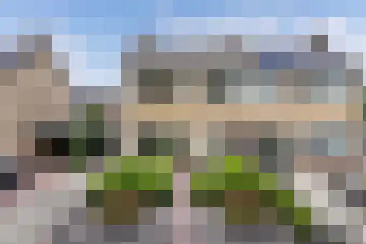 De Leijen 9 Drachten thumbnail 48