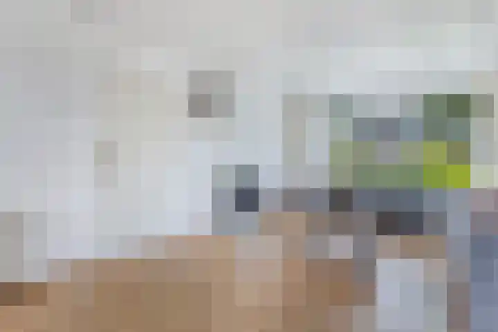 De Leijen 9 Drachten thumbnail 9