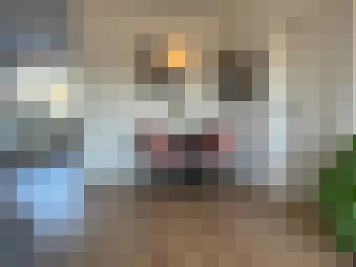 De Lemzijde 13 Emmen thumbnail 16