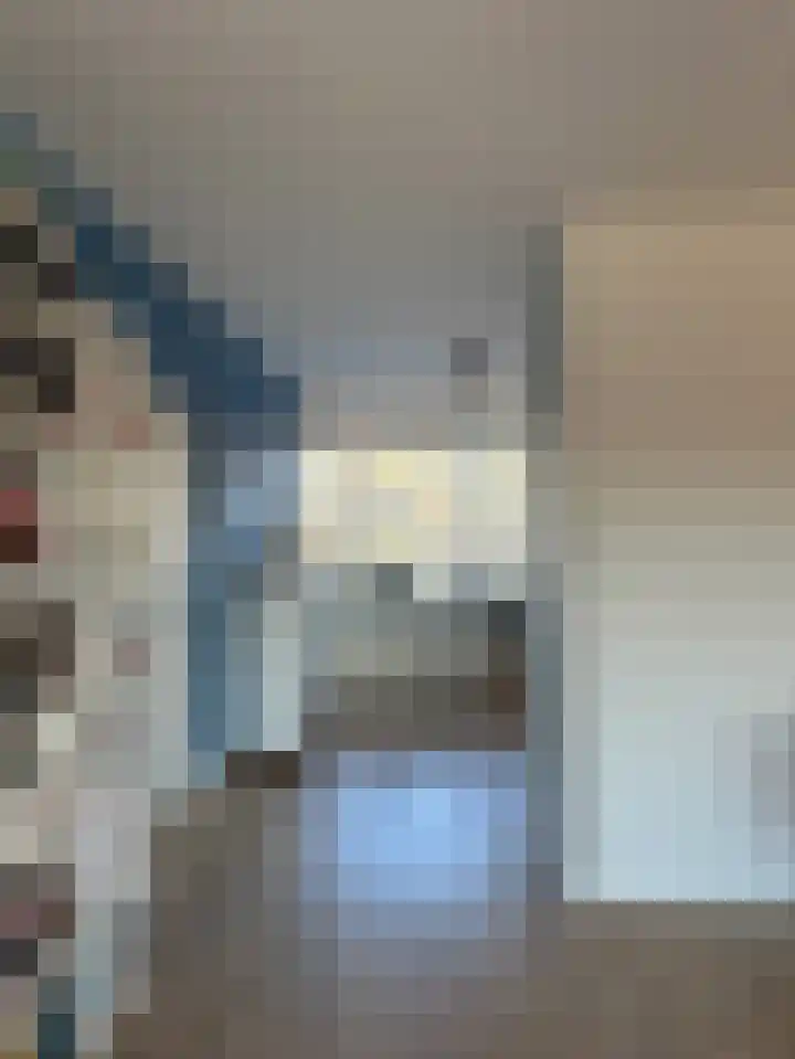 De Lemzijde 13 Emmen thumbnail 17