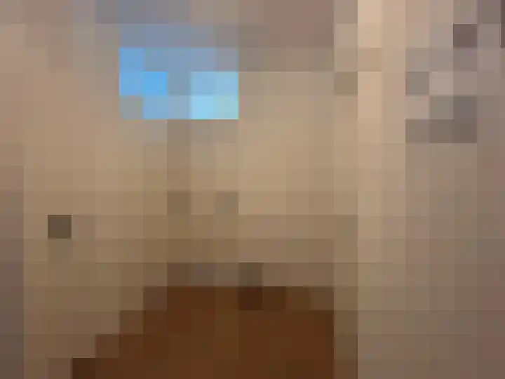 De Lemzijde 13 Emmen thumbnail 27