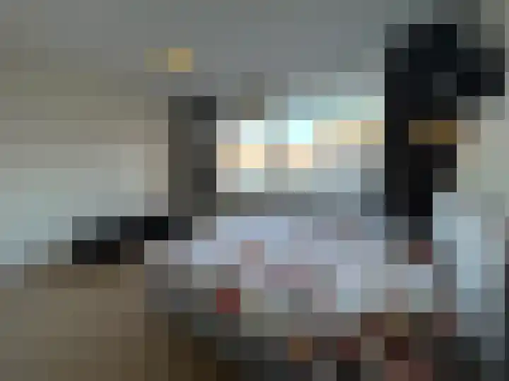 De Lemzijde 13 Emmen thumbnail 31