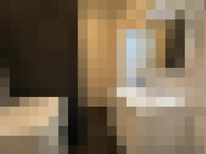 De Lemzijde 13 Emmen thumbnail 32
