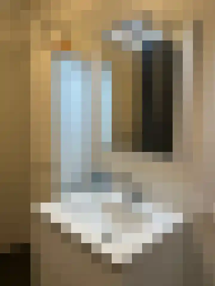 De Lemzijde 13 Emmen thumbnail 33
