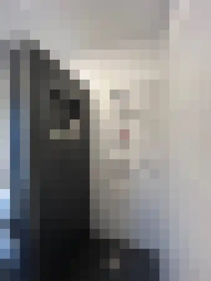 De Lemzijde 13 Emmen thumbnail 34