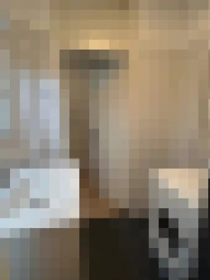 De Lemzijde 13 Emmen thumbnail 35