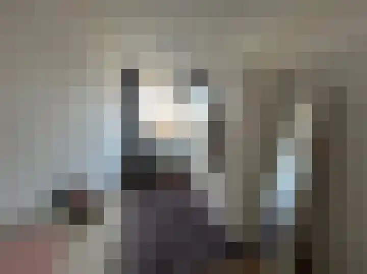 De Lemzijde 13 Emmen thumbnail 36