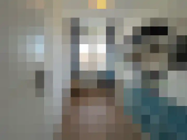 De Lemzijde 13 Emmen thumbnail 38
