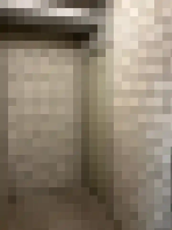 De Lemzijde 13 Emmen thumbnail 39