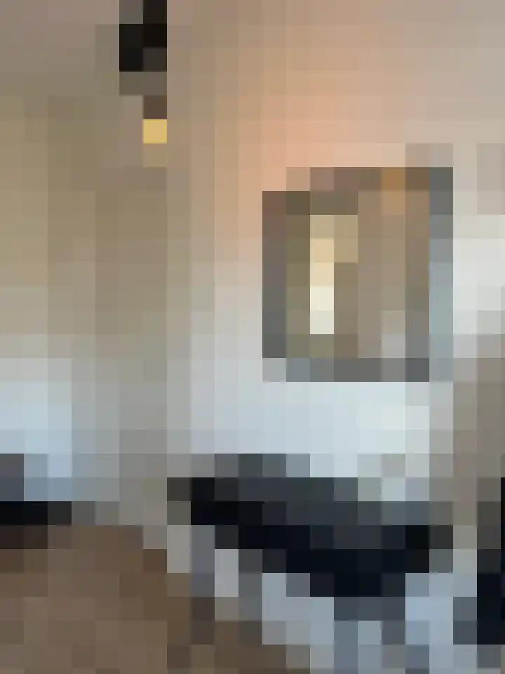 De Lemzijde 13 Emmen thumbnail 6