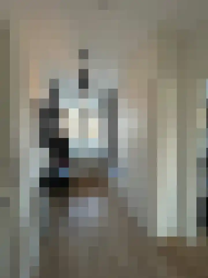 De Lemzijde 13 Emmen thumbnail 7