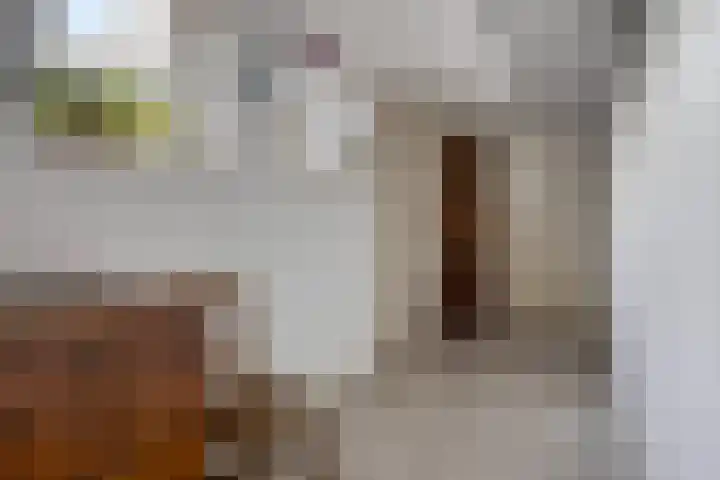De Lepelaar 22 Dronten thumbnail 19