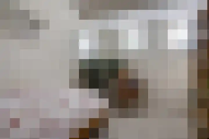 De Lepelaar 22 Dronten thumbnail 24