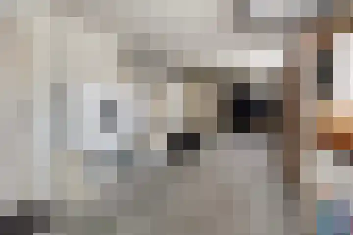De Lepelaar 22 Dronten thumbnail 27