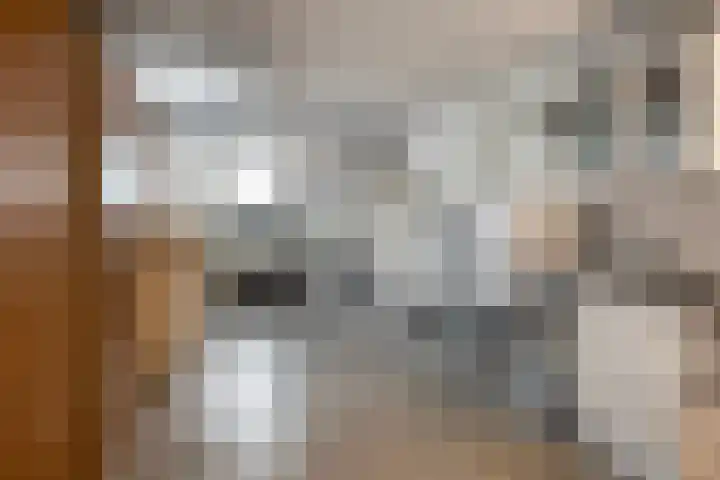De Lepelaar 22 Dronten thumbnail 28